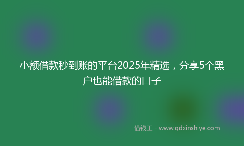 小额借款秒到账的平台2025年精选，分享5个黑户也能借款的口子
