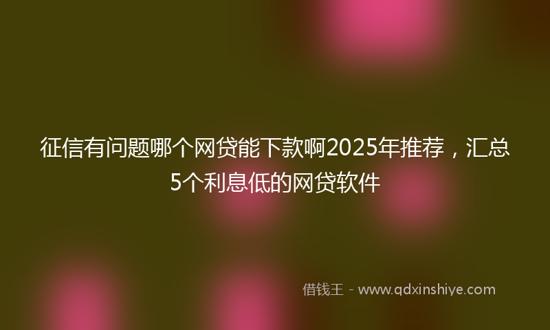征信有问题哪个网贷能下款啊2025年推荐，汇总5个利息低的网贷软件