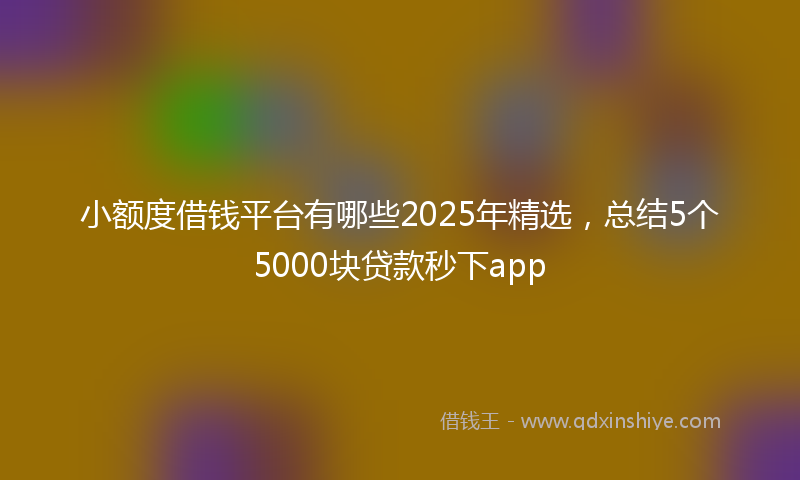 小额度借钱平台有哪些2025年精选，总结5个5000块贷款秒下app