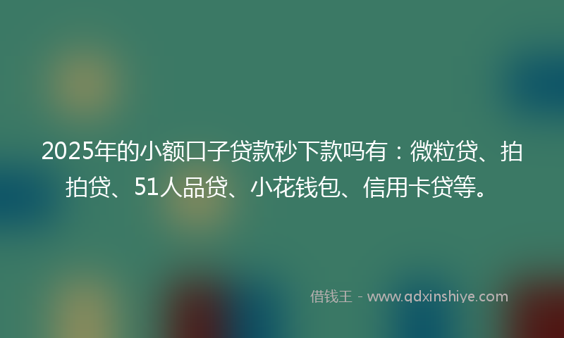 2025年的小额口子贷款秒下款吗有：微粒贷、拍拍贷、51人品贷、小花钱包、信用卡贷等。