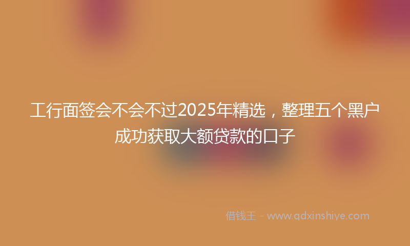 工行面签会不会不过2025年精选，整理五个黑户成功获取大额贷款的口子