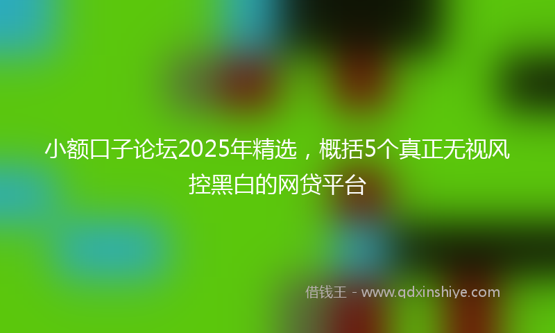小额口子论坛2025年精选，概括5个真正无视风控黑白的网贷平台