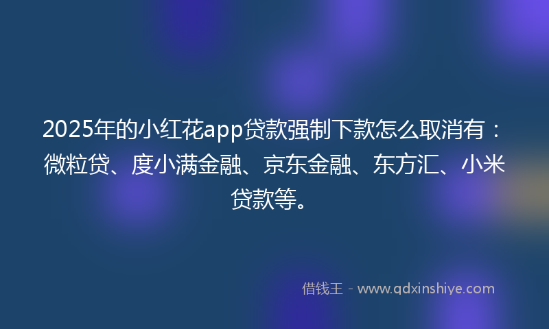 2025年的小红花app贷款强制下款怎么取消有：微粒贷、度小满金融、京东金融、东方汇、小米贷款等。
