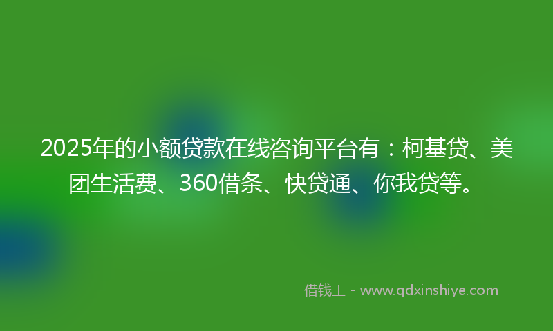 2025年的小额贷款在线咨询平台有：柯基贷、美团生活费、360借条、快贷通、你我贷等。