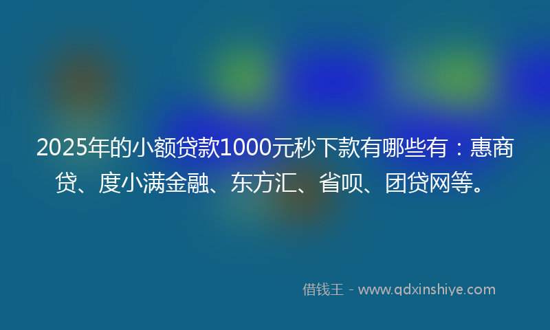 2025年的小额贷款1000元秒下款有哪些有：惠商贷、度小满金融、东方汇、省呗、团贷网等。