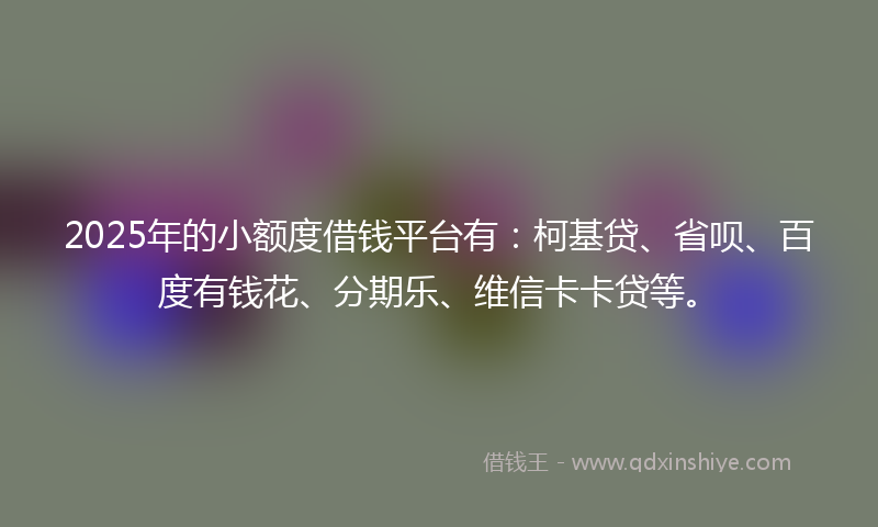 2025年的小额度借钱平台有：柯基贷、省呗、百度有钱花、分期乐、维信卡卡贷等。