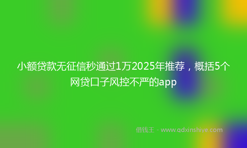 小额贷款无征信秒通过1万2025年推荐，概括5个网贷口子风控不严的app