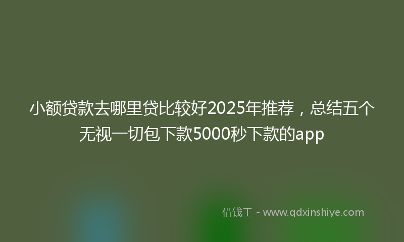 小额贷款去哪里贷比较好2025年推荐，总结五个无视一切包下款5000秒下款的app