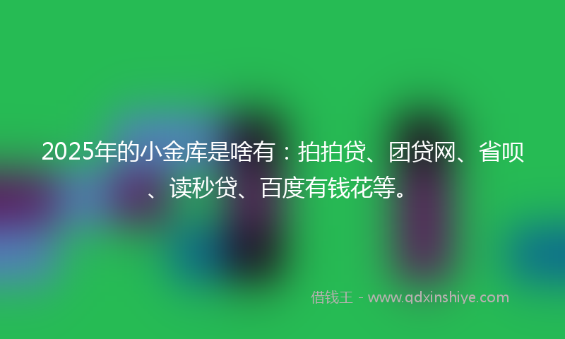 2025年的小金库是啥有：拍拍贷、团贷网、省呗、读秒贷、百度有钱花等。
