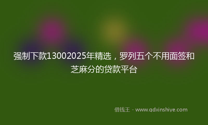 强制下款13002025年精选，罗列五个不用面签和芝麻分的贷款平台