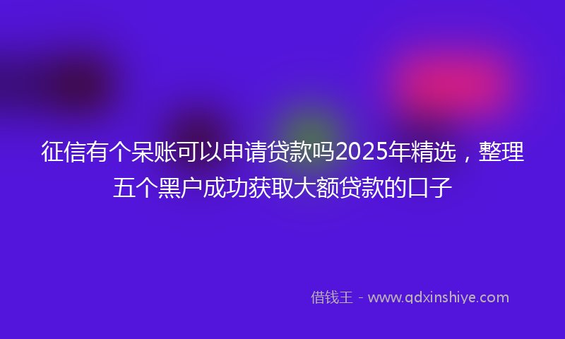 征信有个呆账可以申请贷款吗2025年精选，整理五个黑户成功获取大额贷款的口子