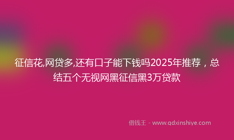 征信花,网贷多,还有口子能下钱吗2025年推荐，总结五个无视网黑征信黑3万贷款