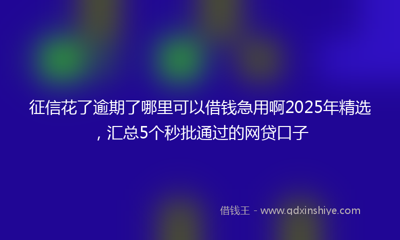 征信花了逾期了哪里可以借钱急用啊2025年精选，汇总5个秒批通过的网贷口子