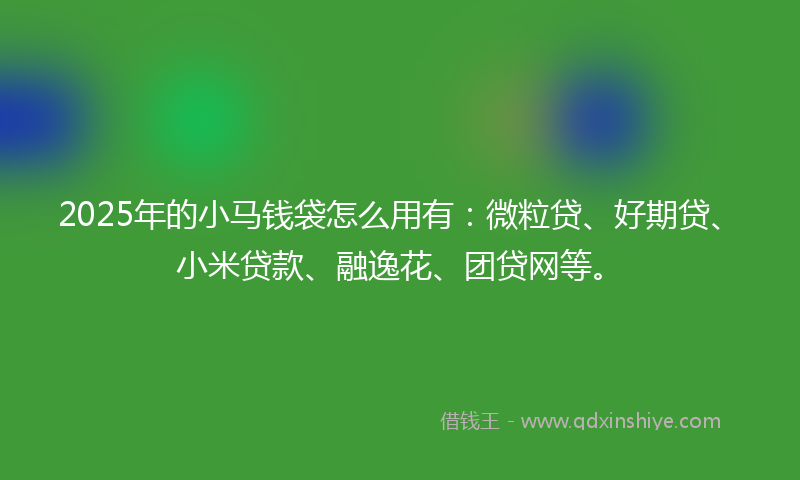 2025年的小马钱袋怎么用有：微粒贷、好期贷、小米贷款、融逸花、团贷网等。