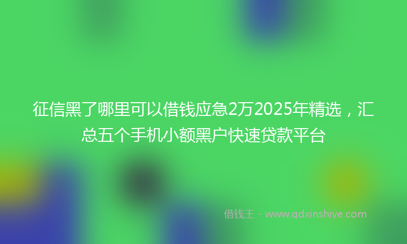 征信黑了哪里可以借钱应急2万2025年精选，汇总五个手机小额黑户快速贷款平台