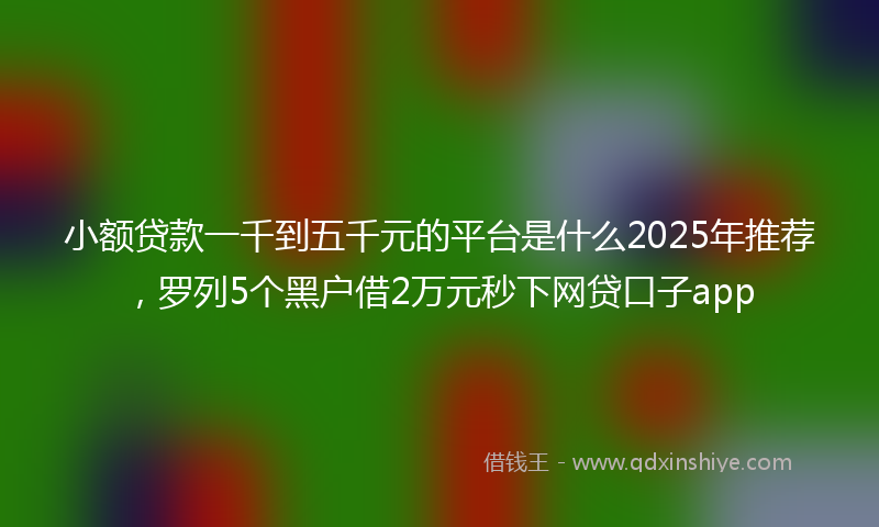 小额贷款一千到五千元的平台是什么2025年推荐，罗列5个黑户借2万元秒下网贷口子app