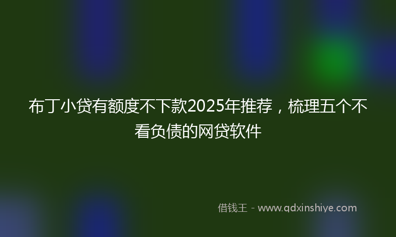 布丁小贷有额度不下款2025年推荐，梳理五个不看负债的网贷软件
