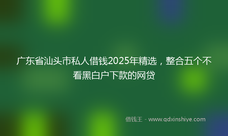 广东省汕头市私人借钱2025年精选，整合五个不看黑白户下款的网贷