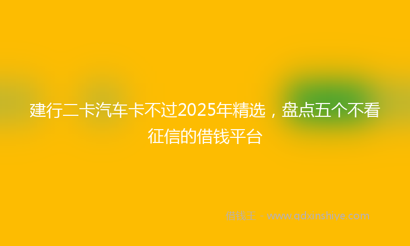 建行二卡汽车卡不过2025年精选，盘点五个不看征信的借钱平台