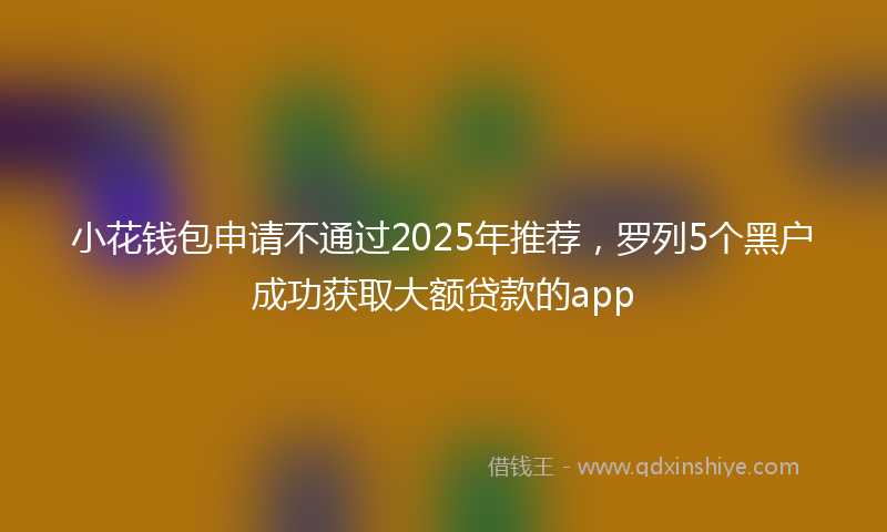 小花钱包申请不通过2025年推荐，罗列5个黑户成功获取大额贷款的app