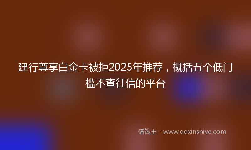 建行尊享白金卡被拒2025年推荐，概括五个低门槛不查征信的平台