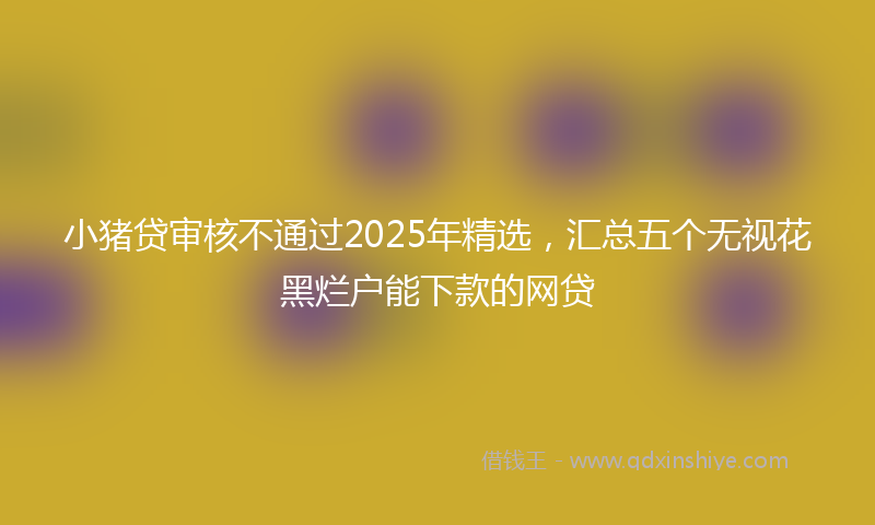 小猪贷审核不通过2025年精选，汇总五个无视花黑烂户能下款的网贷