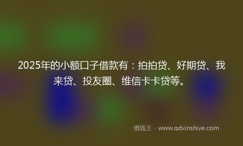 2025年的小额口子借款有：拍拍贷、好期贷、我来贷、投友圈、维信卡卡贷等。