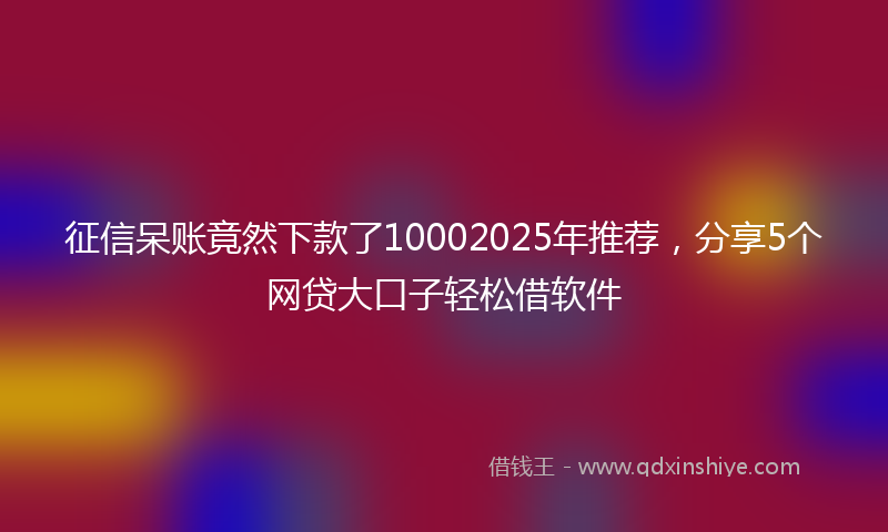 征信呆账竟然下款了10002025年推荐，分享5个网贷大口子轻松借软件