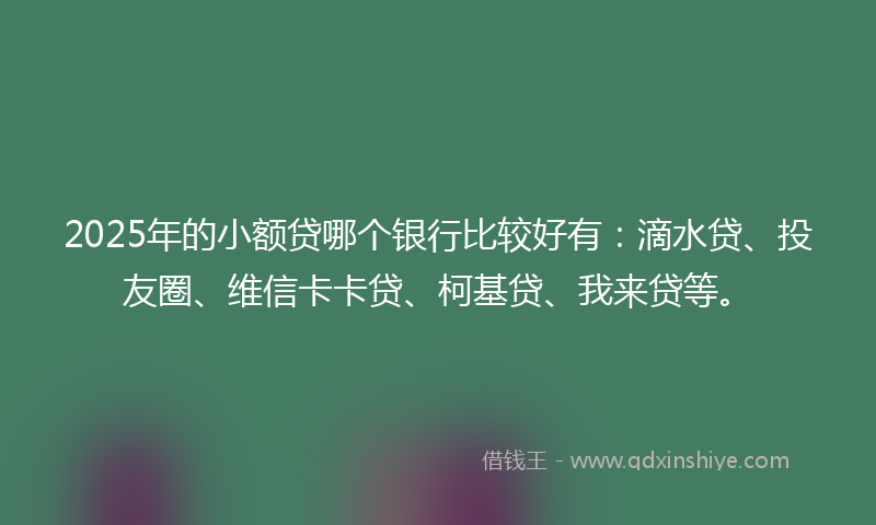 2025年的小额贷哪个银行比较好有：滴水贷、投友圈、维信卡卡贷、柯基贷、我来贷等。