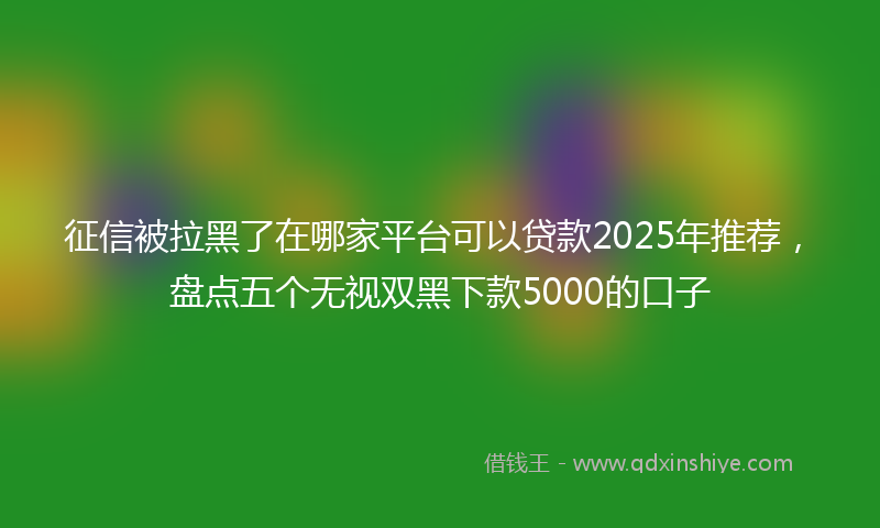 征信被拉黑了在哪家平台可以贷款2025年推荐，盘点五个无视双黑下款5000的口子