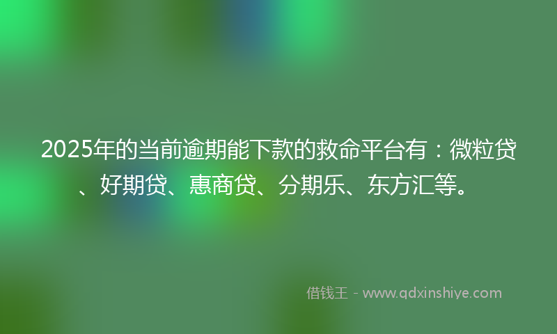 2025年的当前逾期能下款的救命平台有：微粒贷、好期贷、惠商贷、分期乐、东方汇等。