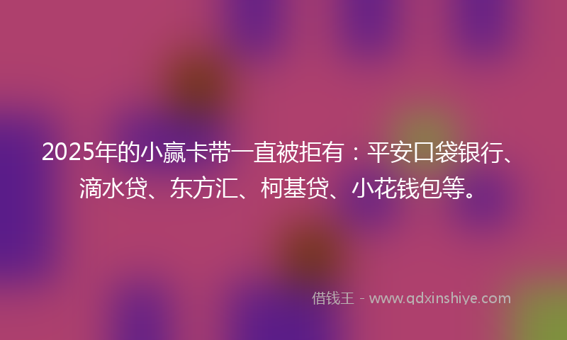2025年的小赢卡带一直被拒有：平安口袋银行、滴水贷、东方汇、柯基贷、小花钱包等。