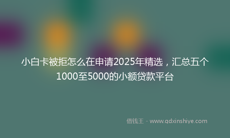 小白卡被拒怎么在申请2025年精选，汇总五个1000至5000的小额贷款平台