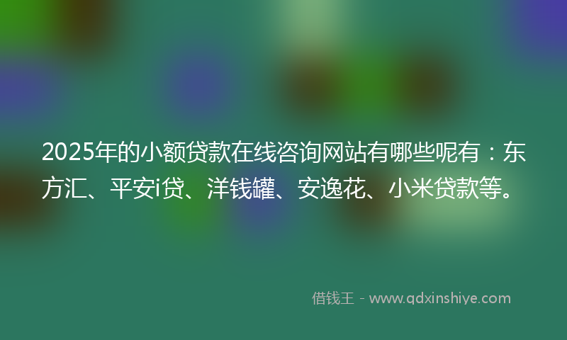 2025年的小额贷款在线咨询网站有哪些呢有：东方汇、平安i贷、洋钱罐、安逸花、小米贷款等。