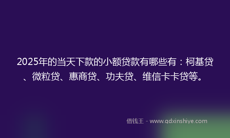 2025年的当天下款的小额贷款有哪些有：柯基贷、微粒贷、惠商贷、功夫贷、维信卡卡贷等。