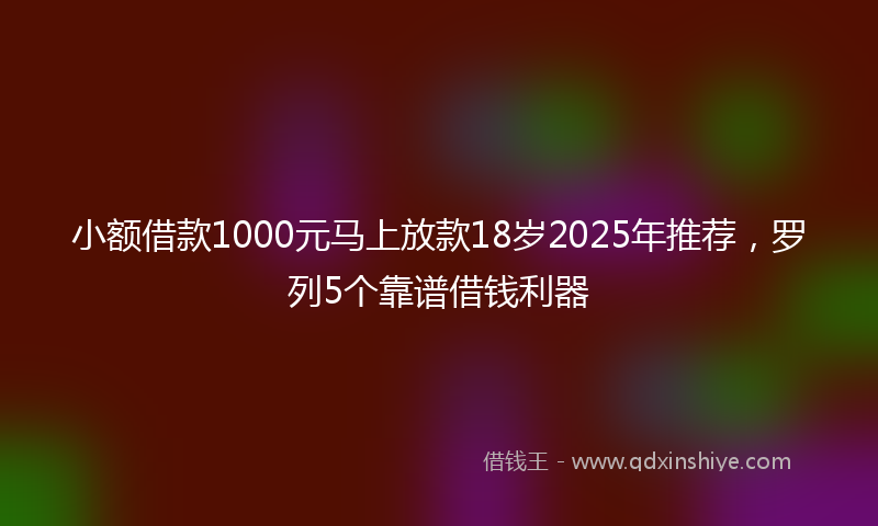 小额借款1000元马上放款18岁2025年推荐，罗列5个靠谱借钱利器
