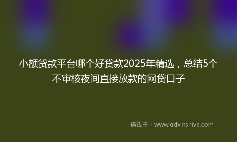 小额贷款平台哪个好贷款2025年精选，总结5个不审核夜间直接放款的网贷口子