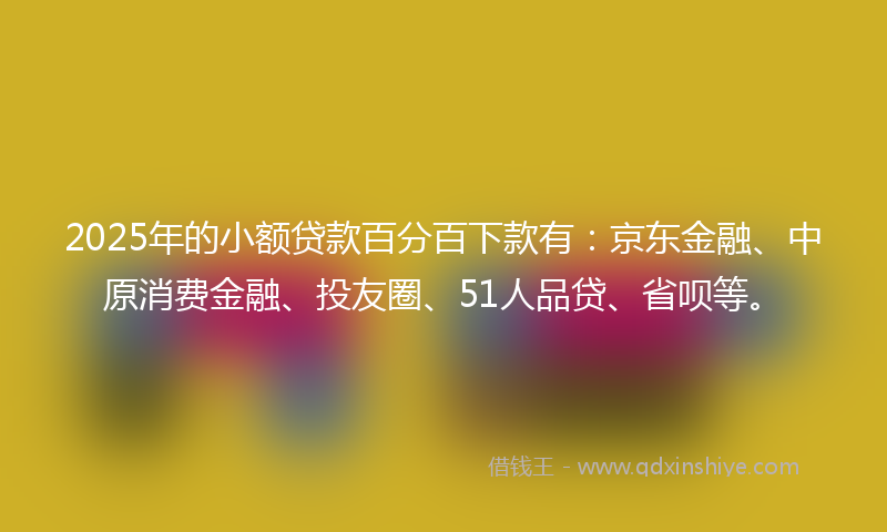 2025年的小额贷款百分百下款有：京东金融、中原消费金融、投友圈、51人品贷、省呗等。
