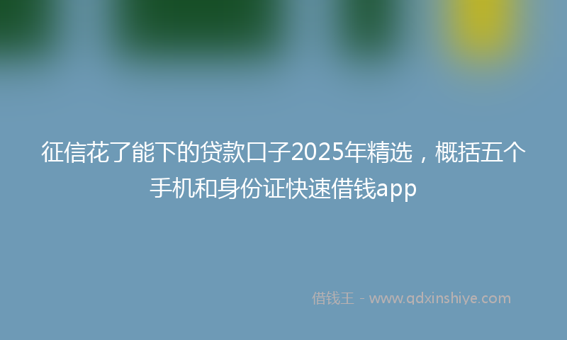 征信花了能下的贷款口子2025年精选，概括五个手机和身份证快速借钱app