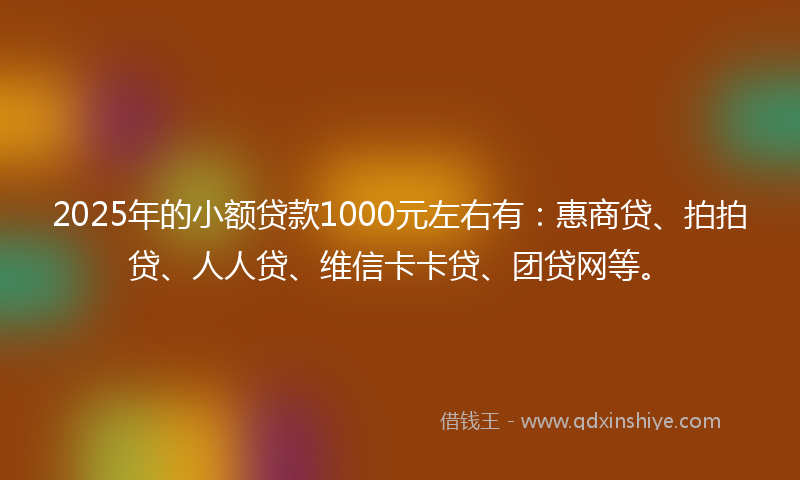 2025年的小额贷款1000元左右有：惠商贷、拍拍贷、人人贷、维信卡卡贷、团贷网等。