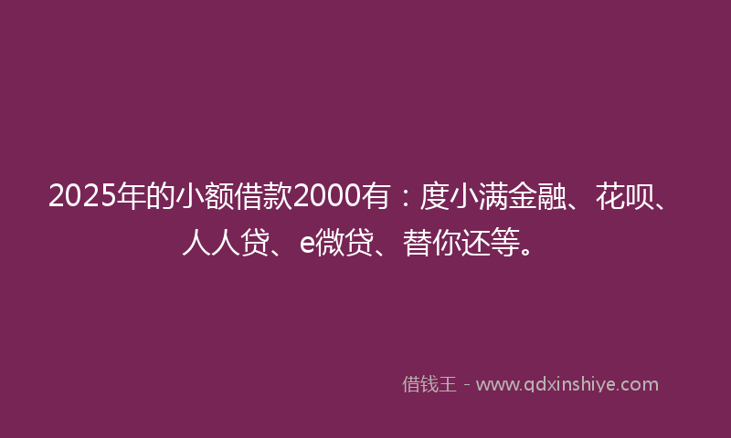 2025年的小额借款2000有：度小满金融、花呗、人人贷、e微贷、替你还等。