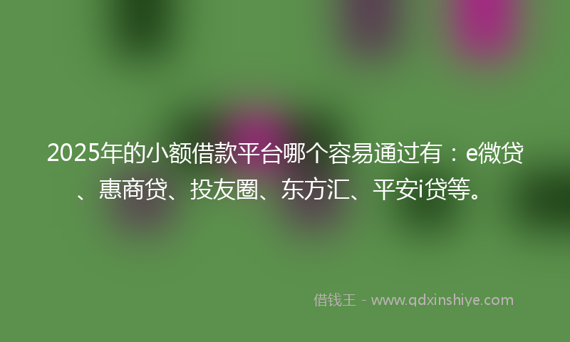2025年的小额借款平台哪个容易通过有：e微贷、惠商贷、投友圈、东方汇、平安i贷等。