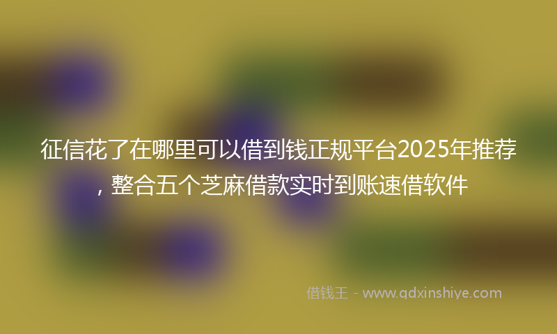 征信花了在哪里可以借到钱正规平台2025年推荐，整合五个芝麻借款实时到账速借软件