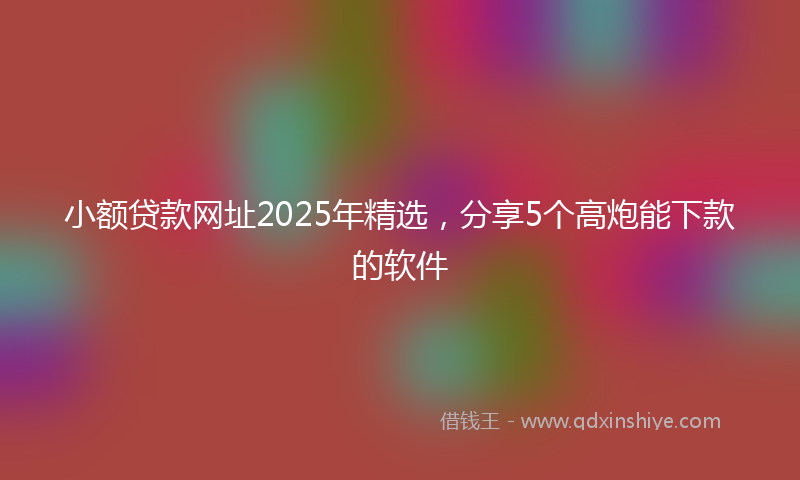 小额贷款网址2025年精选，分享5个高炮能下款的软件