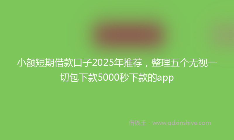 小额短期借款口子2025年推荐，整理五个无视一切包下款5000秒下款的app