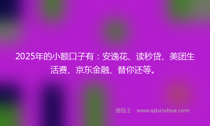 2025年的小额口子有：安逸花、读秒贷、美团生活费、京东金融、替你还等。
