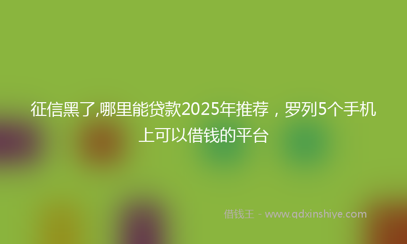征信黑了,哪里能贷款2025年推荐，罗列5个手机上可以借钱的平台