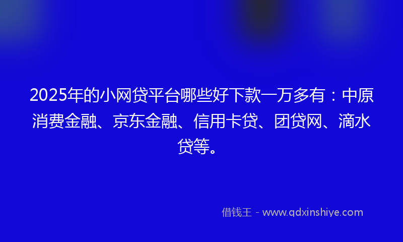 2025年的小网贷平台哪些好下款一万多有：中原消费金融、京东金融、信用卡贷、团贷网、滴水贷等。
