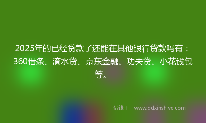 2025年的已经贷款了还能在其他银行贷款吗有：360借条、滴水贷、京东金融、功夫贷、小花钱包等。