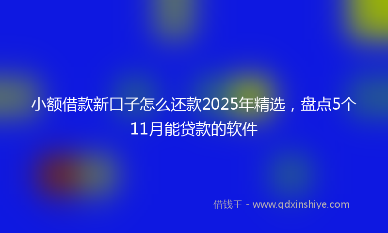 小额借款新口子怎么还款2025年精选，盘点5个11月能贷款的软件